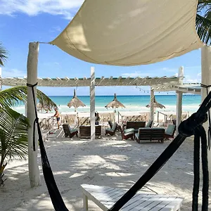 coco-limited.tulum-hotels.net/